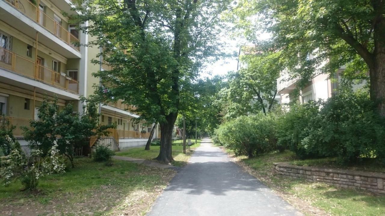 Apartment Koroesi *